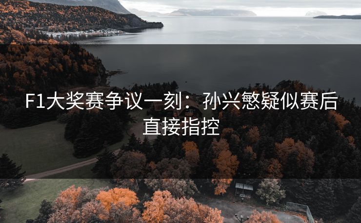 F1大奖赛争议一刻：孙兴慜疑似赛后直接指控