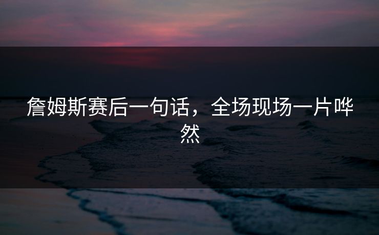 詹姆斯赛后一句话，全场现场一片哗然