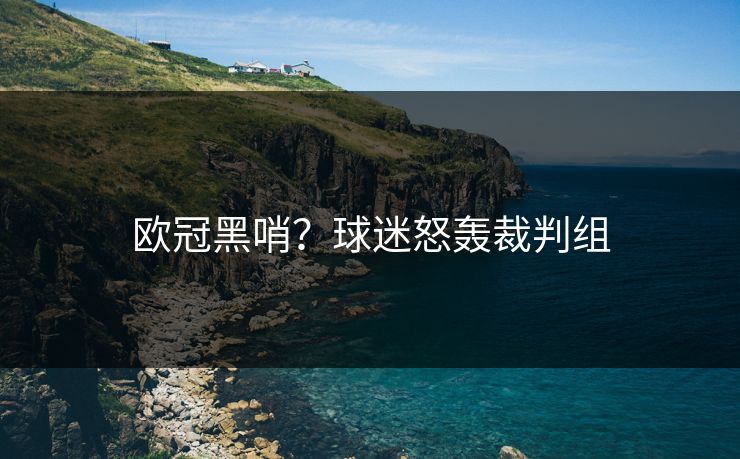 欧冠黑哨？球迷怒轰裁判组
