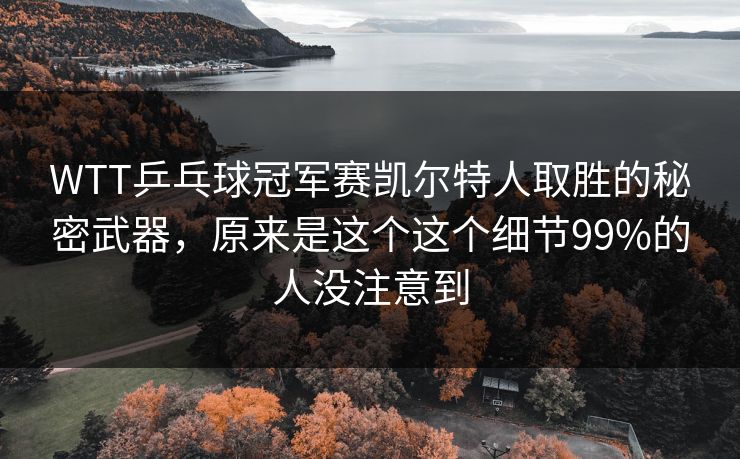 WTT乒乓球冠军赛凯尔特人取胜的秘密武器，原来是这个这个细节99%的人没注意到