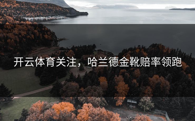 开云体育关注，哈兰德金靴赔率领跑